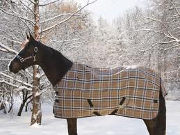 winter horse blankets Winter Horse Blankets